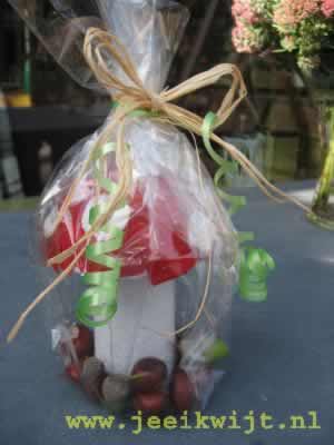 herfst knutsel paddestoel van stof