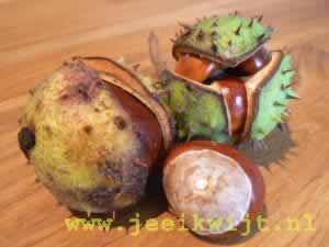 Herfst versiering van kastanjes