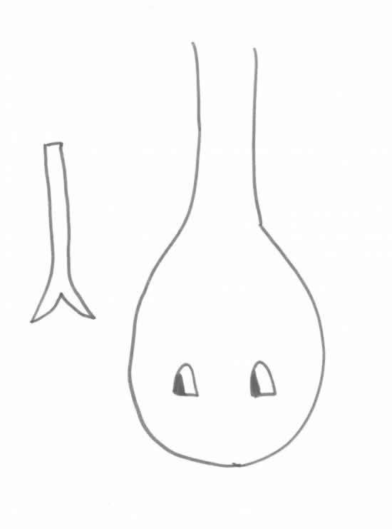 Slangen van crepepapier