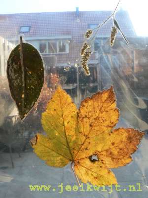 Gedroogde bladeren lamineren