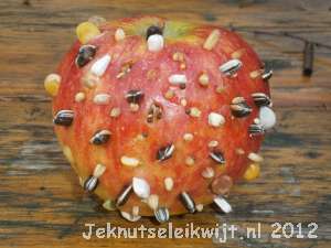 winterknutsel appel voor de vogels