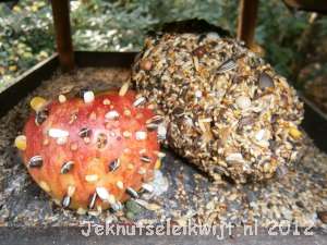 winterknutsel appel voor de vogels
