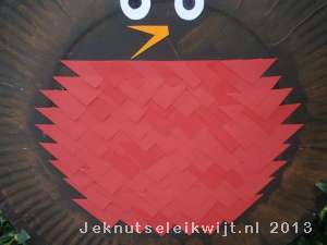 winterknutsel roodborstje