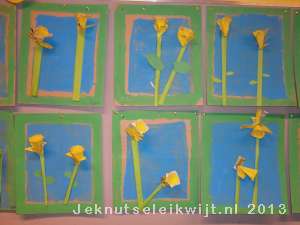 Narcis van eierdoos