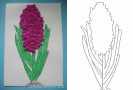 Voorjaarsknutsel hyacint