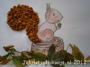 herfstknutsel eekhoorn