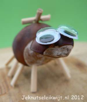 Spin knutselen van kastanjes