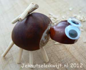 Spin knutselen van kastanjes
