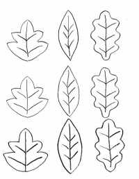Herfstknutsel herfst ketting