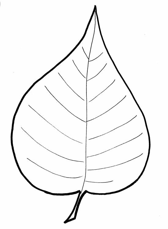 Herfstknutsel herfstblad 2
