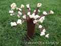 voorjaars boom met bloesem 2