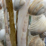 Windlicht van jampot en schelpen