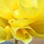 Crepe paper flower