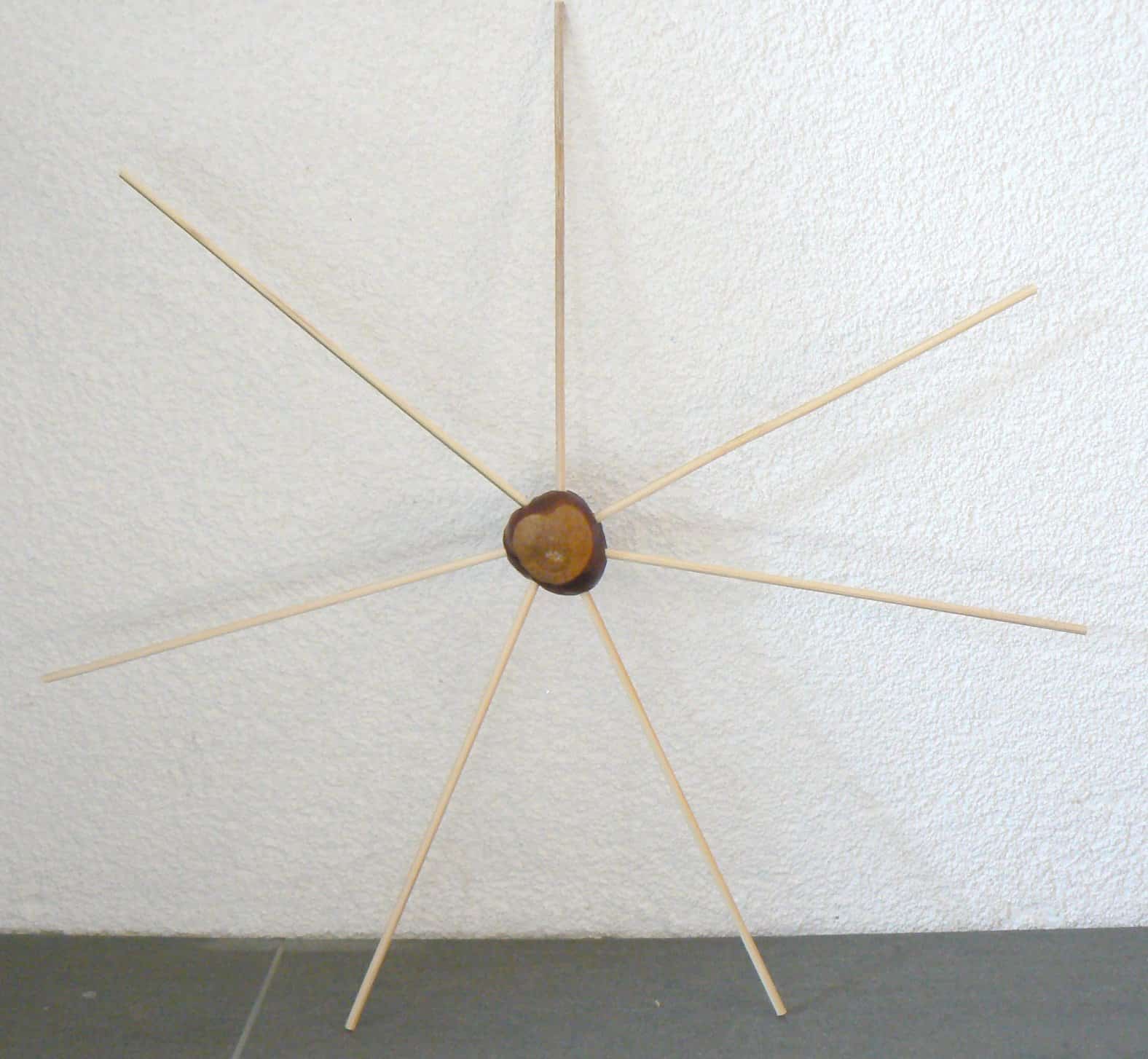 herfst kastanjes spinnenweb