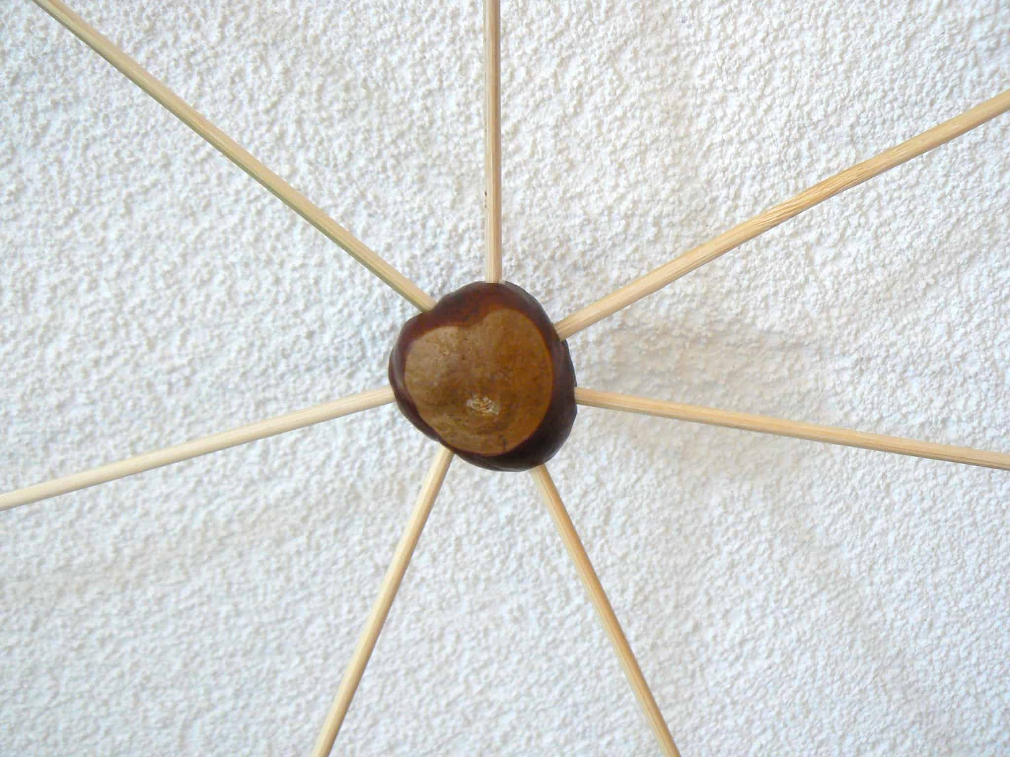 kastanje spinnenweb